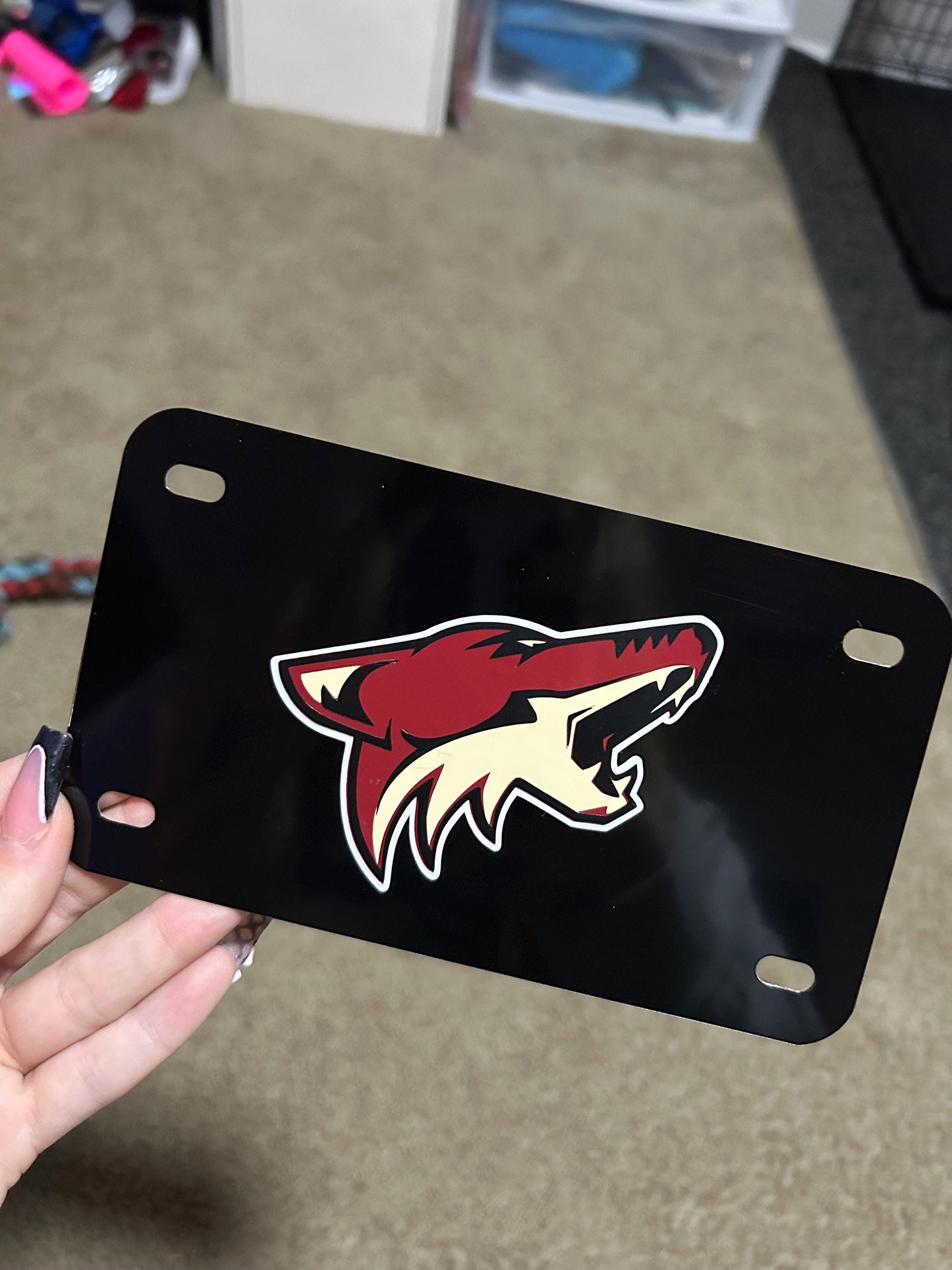 Custom Motorcycle License Plate: Personalized Vinyl Decal (7x4 inches ) / NAME/ LOGO/ CUSTOM Text